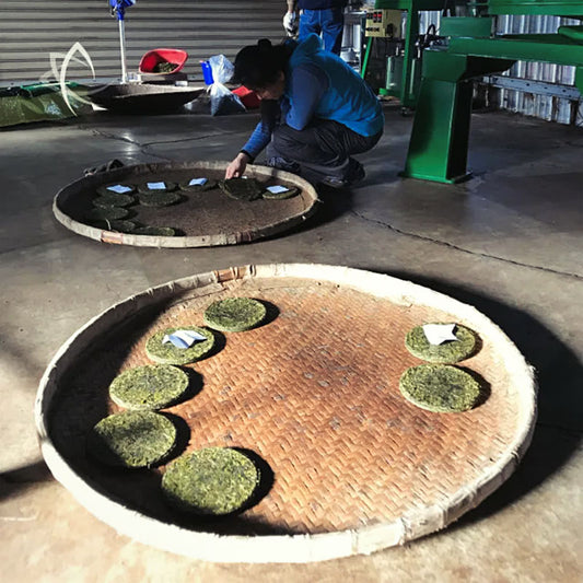 WuYi Hong Shui oolong tējas pankūka, Taivāna, 2019, 100gr 台湾红水乌龙茶饼