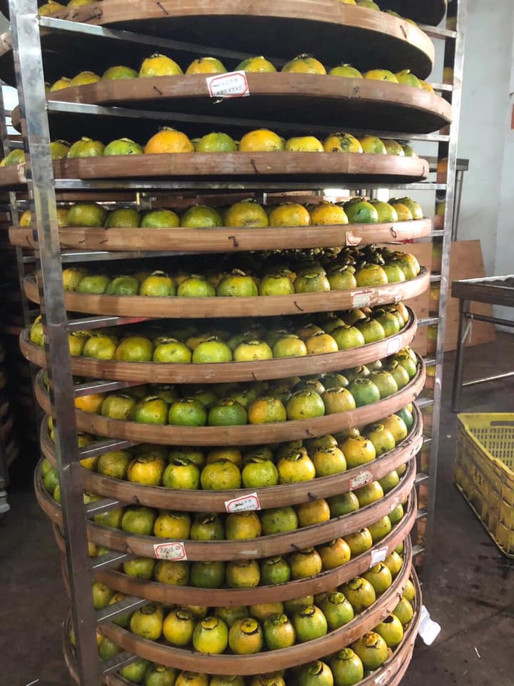 GanPu Cha (Shu Puerh in Tangerine), 柑普茶