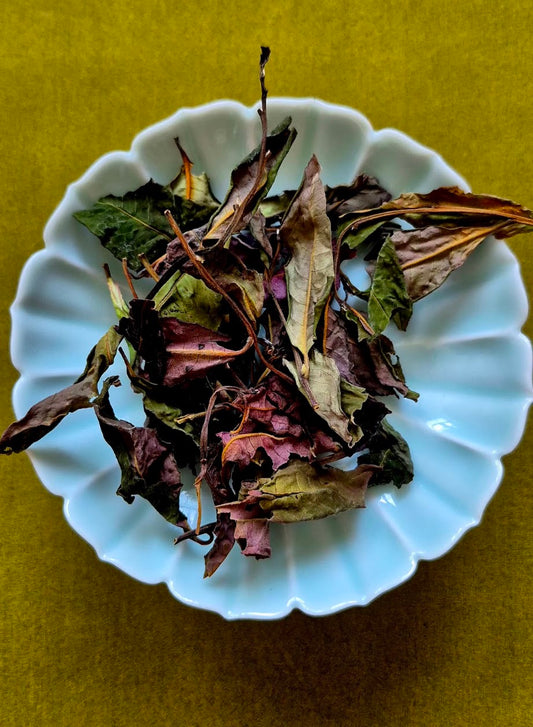 Gushu Purple Bud White tea