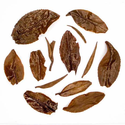 Red Jade Gaba oolong tea, Taiwan 紅玉佳葉龍茶