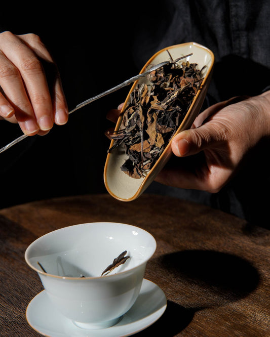 GABA Tea Secrets, Explained. Masterclass.